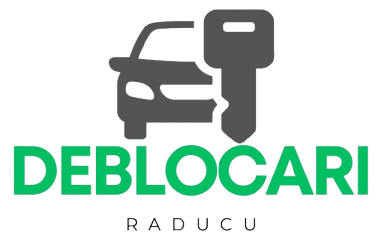 logo raducu test